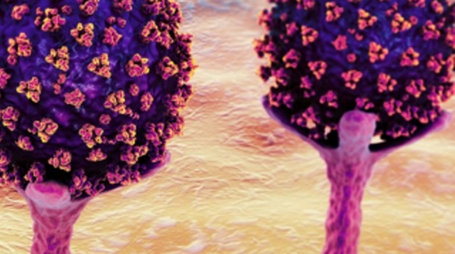 جدیدترین سویه ویروس کرونا در جهان در حال پخش است 