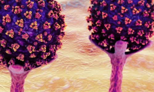 جدیدترین سویه ویروس کرونا در جهان در حال پخش است 